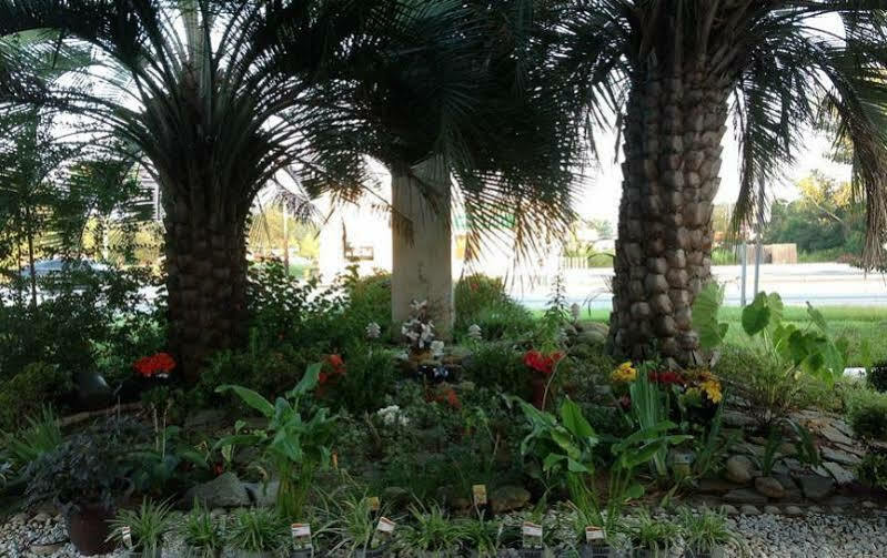 Quality Inn Goose Creek - Charleston Esterno foto